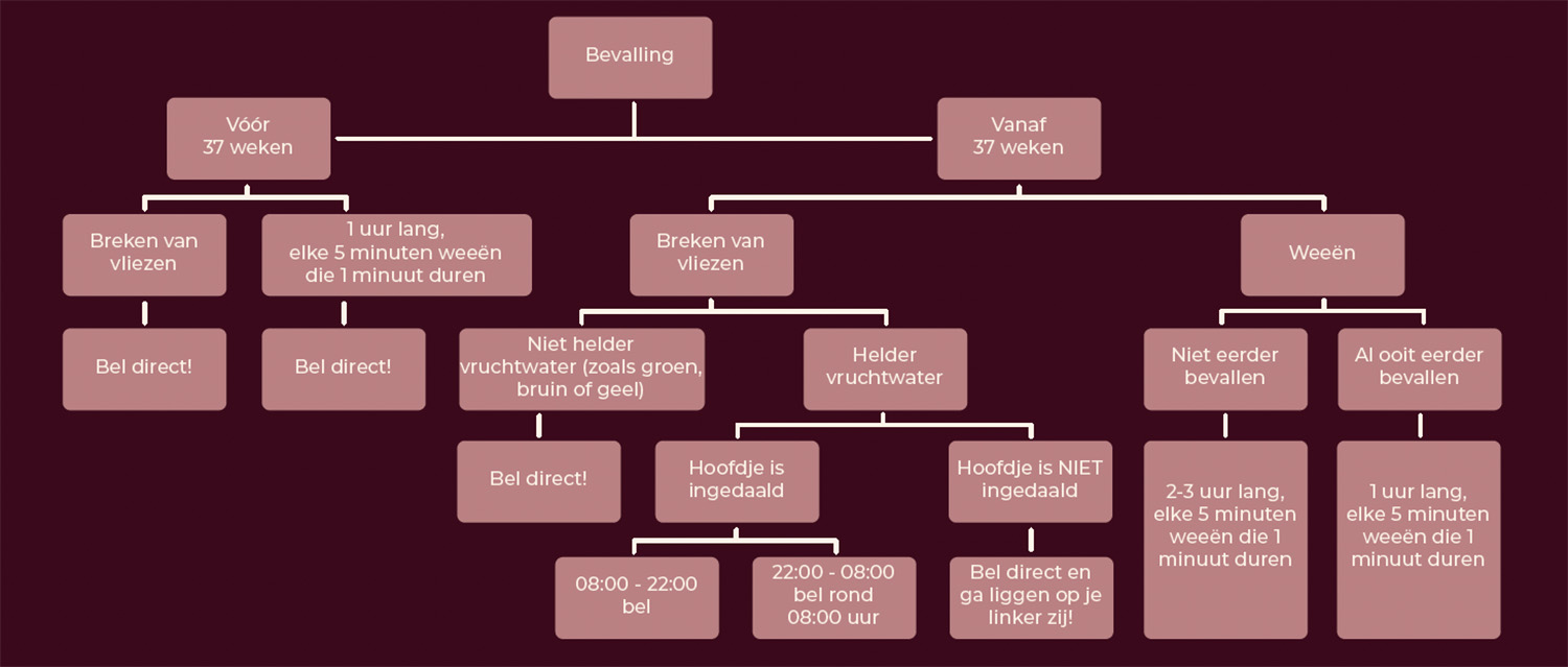 diagram-bloei-verloskunde-bevalling